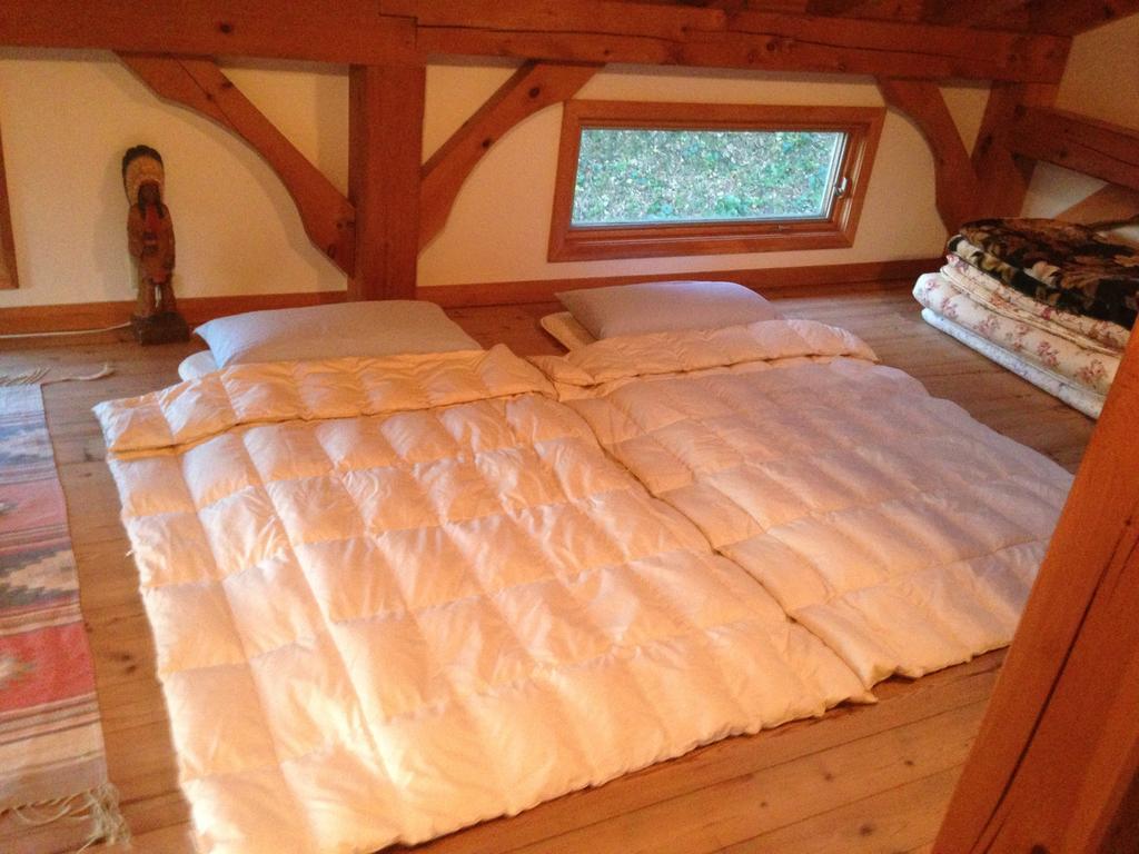 Patagonia Home Shimoda  Rom bilde